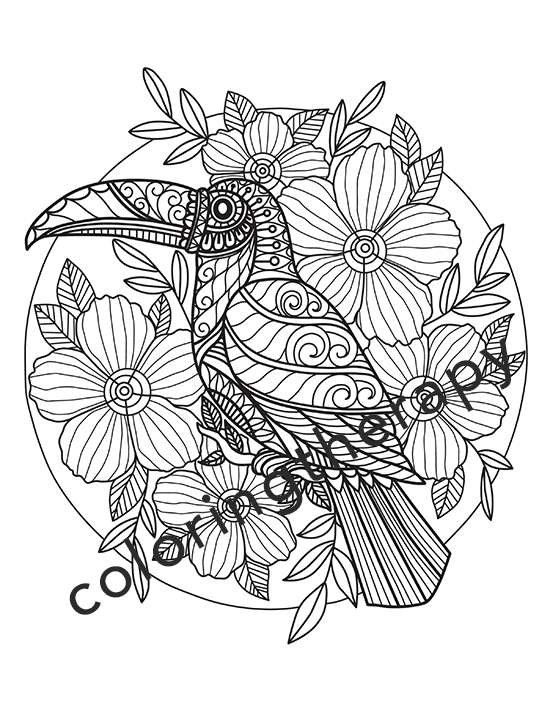 coloring pages for adults pdf free download