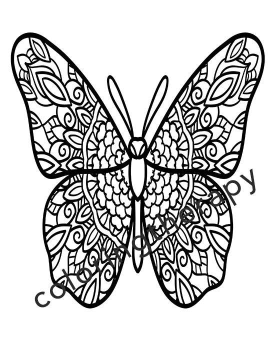 🦋 Butterfly Adult Coloring Digital Book – 50 pages - Coloring Therapy